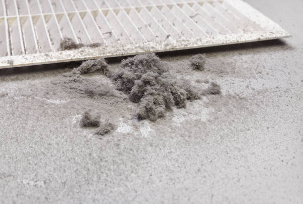 Best Air Duct Cleaning Near Me  in Little Cypress, TX
