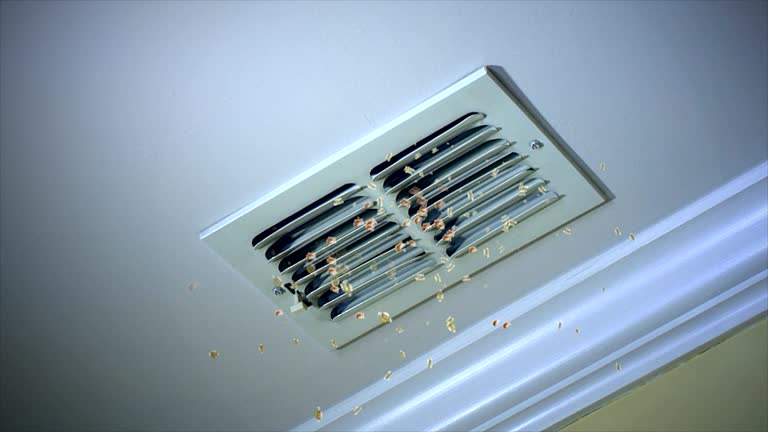 Best Affordable HVAC Duct Cleaning  in Little Cypress, TX