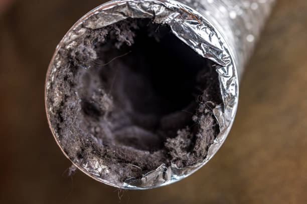 Best Air Duct Cleaning Near Me in Little Cypress, TX