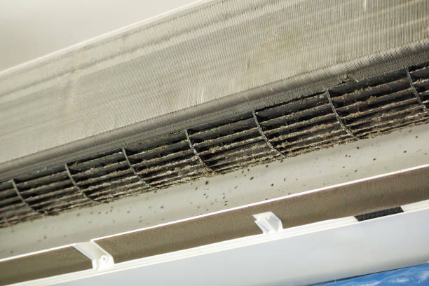 Trusted Little Cypress, TX Airduct Cleaning Experts