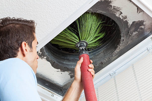 Best Affordable Duct Cleaning Services  in Little Cypress, TX